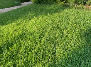 Laurie M.'s Lawn Care service result