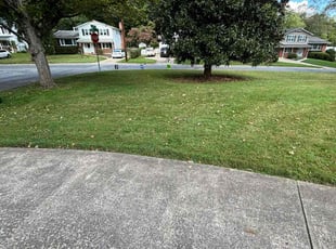 Rhonda K.'s Grass Cutting service result