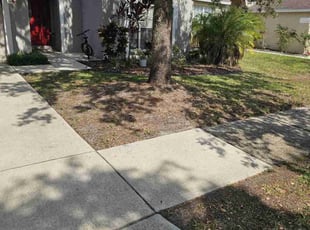 Leaf Removal by Orlando Powell for Mary M. in Lithia, FL