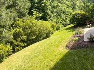 Joseph G.'s Lawn Mowing service result