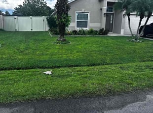 Jerrold D.'s Grass Cutting service result