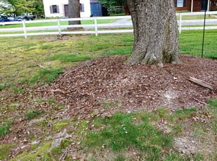 Cleanups by Chris Thomas for Amanda D. in Richmond, VA