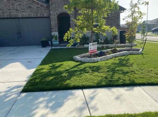 David S.'s Yard Cutting service result