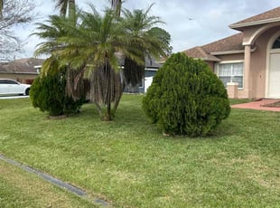 David A.'s Yard Cutting service result