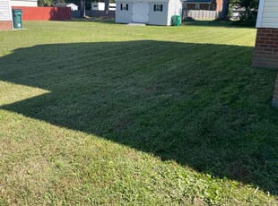 Theta Y.'s Lawn Service service result
