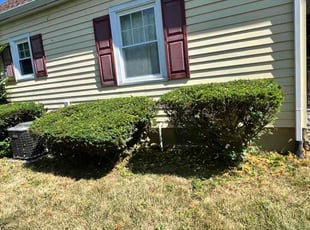 Bush Trimming by Kyran Bishop for Karen W. in Dayton, OH
