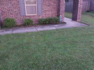 Bush Trimming by Sylvester Talbert for valerie m. in Denham Springs, LA