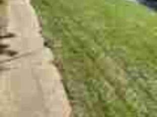 Denise M.'s Lawn Care service result