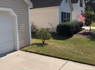 Bush Trimming by Jeremy Brown for Derek C. in Summerville, SC