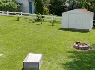 Jemila A.'s Lawn Mowing service result