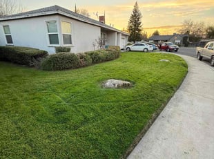 Kim R.'s Lawn Mowing service result