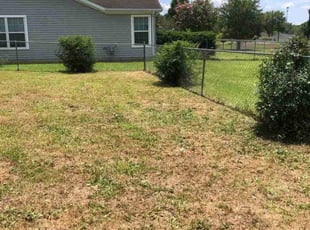 Bush Trimming by Joseph Bello for Gabby Y. in Warner Robins, GA
