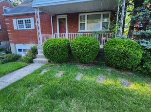 Bush Trimming by D'andre Antrion Covington for Molly L. in Cincinnati, OH