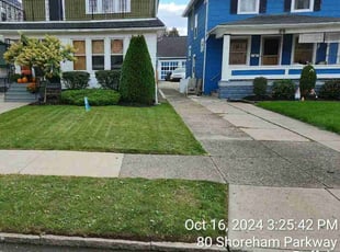 Sean N.'s Lawn Mowing service result