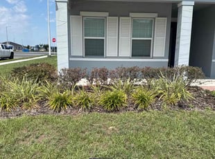 Bush Trimming by Jordan Sarr for Reeta G. in Lake Alfred, FL