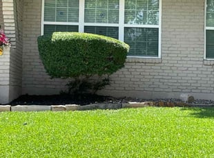 Deborah P.'s Yard Cutting service result