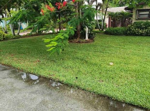 Linda H.'s Grass Cutting service result