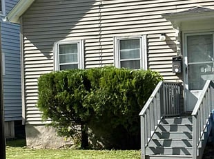 Bush Trimming by Chadmar Rouse for Meagan T. in Rochester, NY