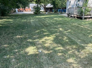 Jones M.'s Lawn Mowing Service service result