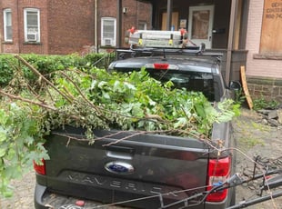 Bush Trimming by Kyle Roberts for Chima D. in Hartford, CT