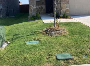 Edwin G.'s Grass Cutting service result