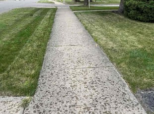 Susan S.'s Lawn Care service result
