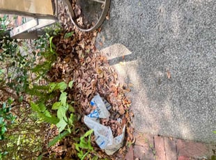 Cleanups by Delson Auguste for John M. in Jacksonville, FL