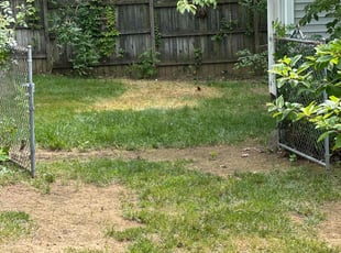 Leaf Removal by Feliciano Matos for Bonnie P. in Allentown, PA