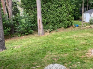 Aeration by Matthew Clouse for Joe D. in Stoneham, MA