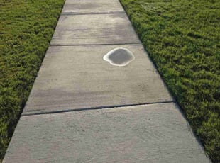 Patricia C.'s Lawn Service service result