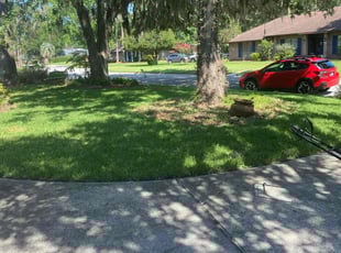 Shineae J.'s Lawn Maintenance service result