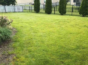 Ernie H.'s Lawn Service service result