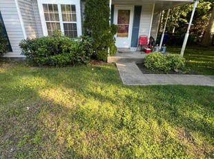 Bush Trimming by Edwin Bidot for Renee S. in Waldorf, MD