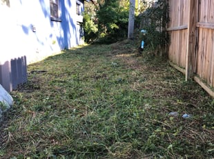 Cleanups by Eric Bolam for Susan K. in Pinellas Park, FL