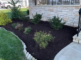 Cleanups by Chris Thomas for Mir A. in Chester, VA