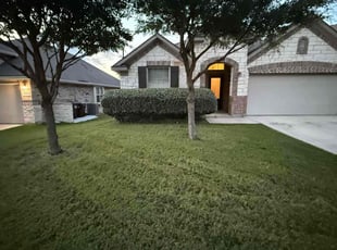 Bush Trimming by Miguel Delgado for Matilde A. in San Antonio, TX
