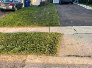 Yvette M.'s Lawn Mowing service result