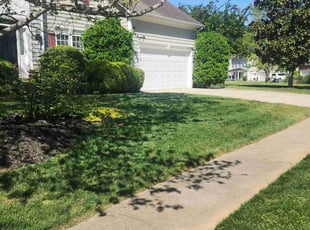 Gina H.'s Lawn Care service result