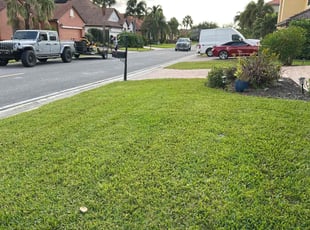 Mario C.'s Lawn Care service result