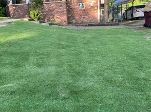 Ashley P.'s Yard Cutting service result