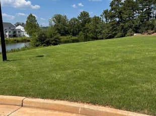 Tornik M.'s Lawn Service service result