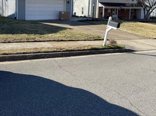 Leaf Removal by Carlos Portillo for Yun-Ting W. in Burke, VA