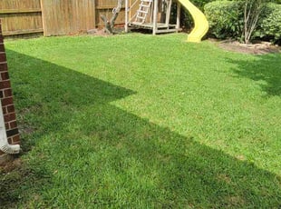 Regina M.'s Lawn Care service result