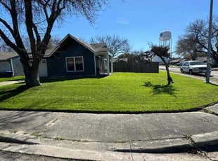 Sylvia S.'s Lawn Care service result