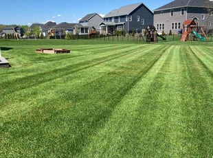 Ann W.'s Lawn Mowing service result