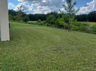 Carleen T.'s Lawn Care service result