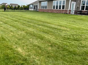 Donald R.'s Lawn Service service result