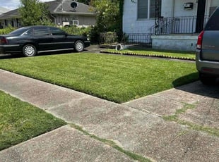 Aaron d.'s Yard Cutting service result