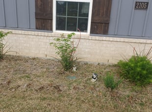 Weeding by Kevin (Jesus) Valencia for Mark G. in Denton, TX
