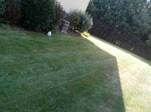 Steven D.'s Lawn Service service result